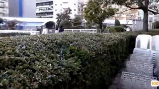 宫崎葵冈田准一二线模特只能是沦为有钱人的玩物（完整版看间芥）