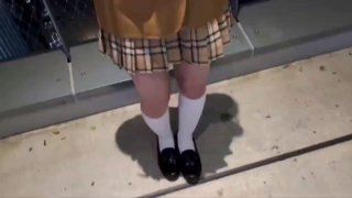 91系列视频在线观看,成人视频高清免费观看